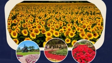 TOUR ROTA DAS FLORES
